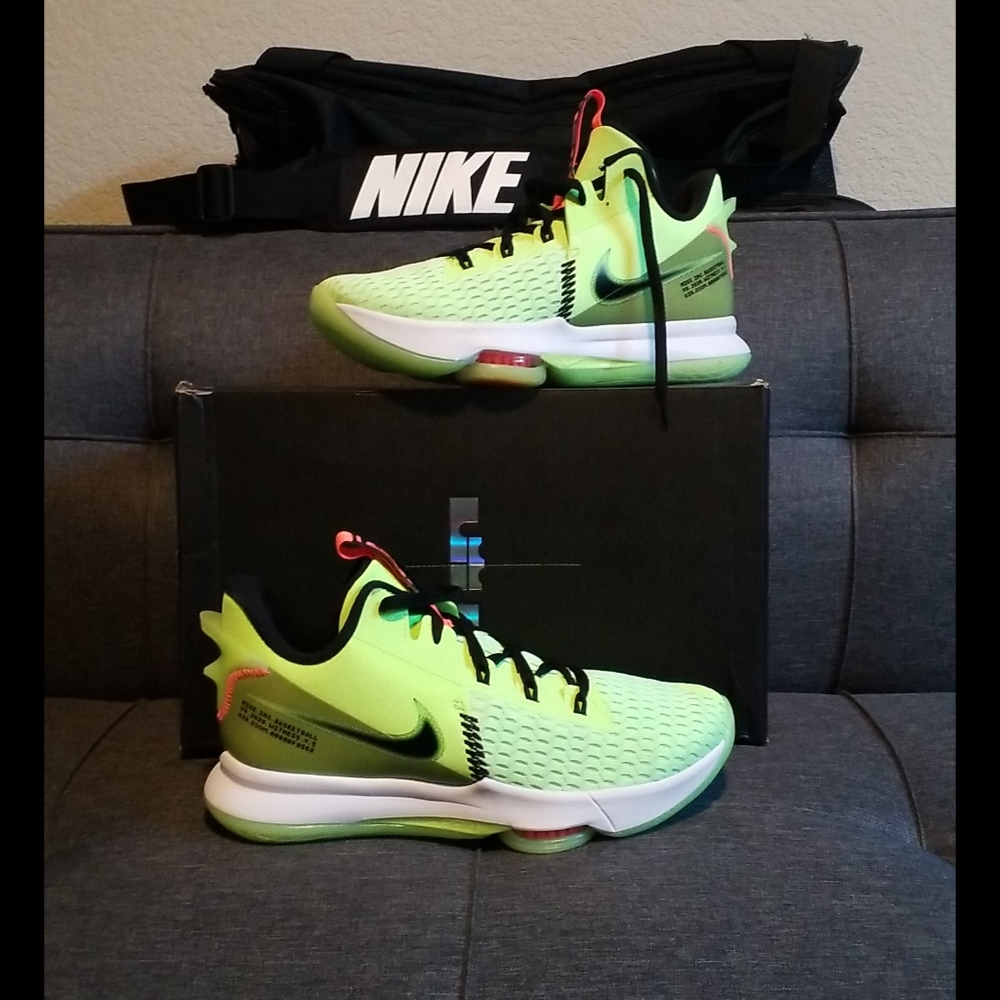 Nike Lebron Witness V